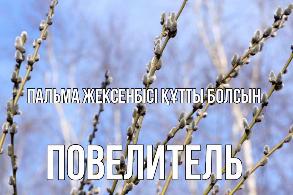 Күн сайын ашық хат с именем, Повелитель Пальма жексенбісі құтты болсын верба Онлайн тегін жүктеп алу тілектері бар керемет карта 