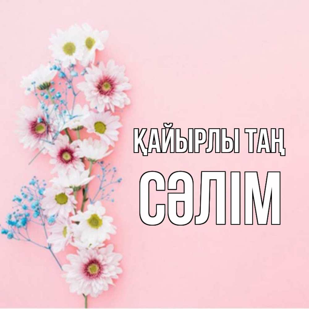 Күн сайын ашық хат с именем, СӘЛІМ Қайырлы таң цветы с подписью Онлайн тегін жүктеп алу тілектері бар керемет карта 