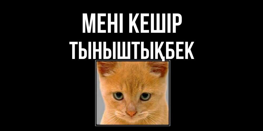 Күн сайын ашық хат с именем, ТЫНЫШТЫҚБЕК Мені кешір рыжий грустный кот просит прощения Онлайн тегін жүктеп алу тілектері бар керемет карта 