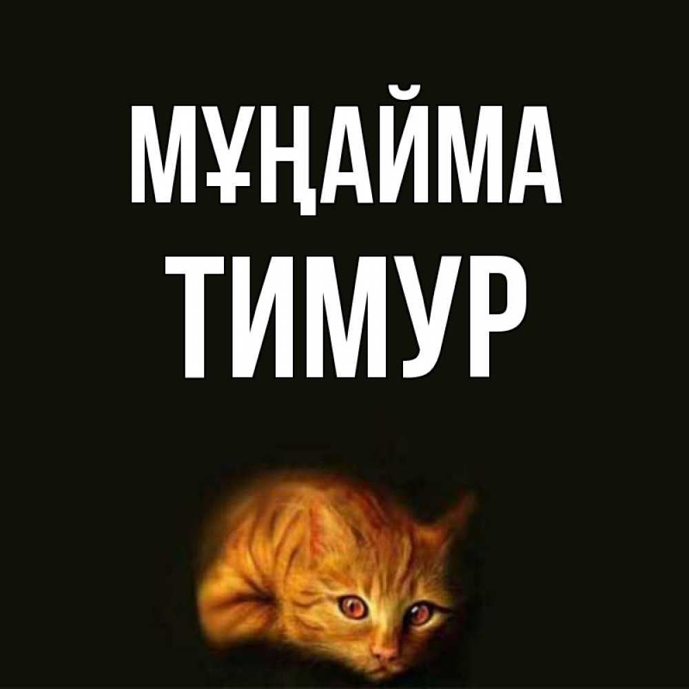 Күн сайын ашық хат с именем, Тимур Мұңайма лежащий кот в темноте Онлайн тегін жүктеп алу тілектері бар керемет карта 