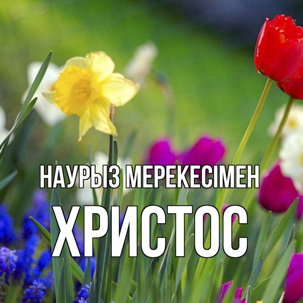 Күн сайын ашық хат с именем, Христос Наурыз мерекесімен праздник весны наурыз 3 Онлайн тегін жүктеп алу тілектері бар керемет карта 