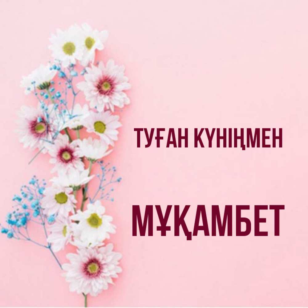 Күн сайын ашық хат с именем, МҰҚАМБЕТ Туған күніңмен Родная моя с днем рождения тебя картинка с цветами белыми и голубыми Онлайн тегін жүктеп алу тілектері бар керемет карта 