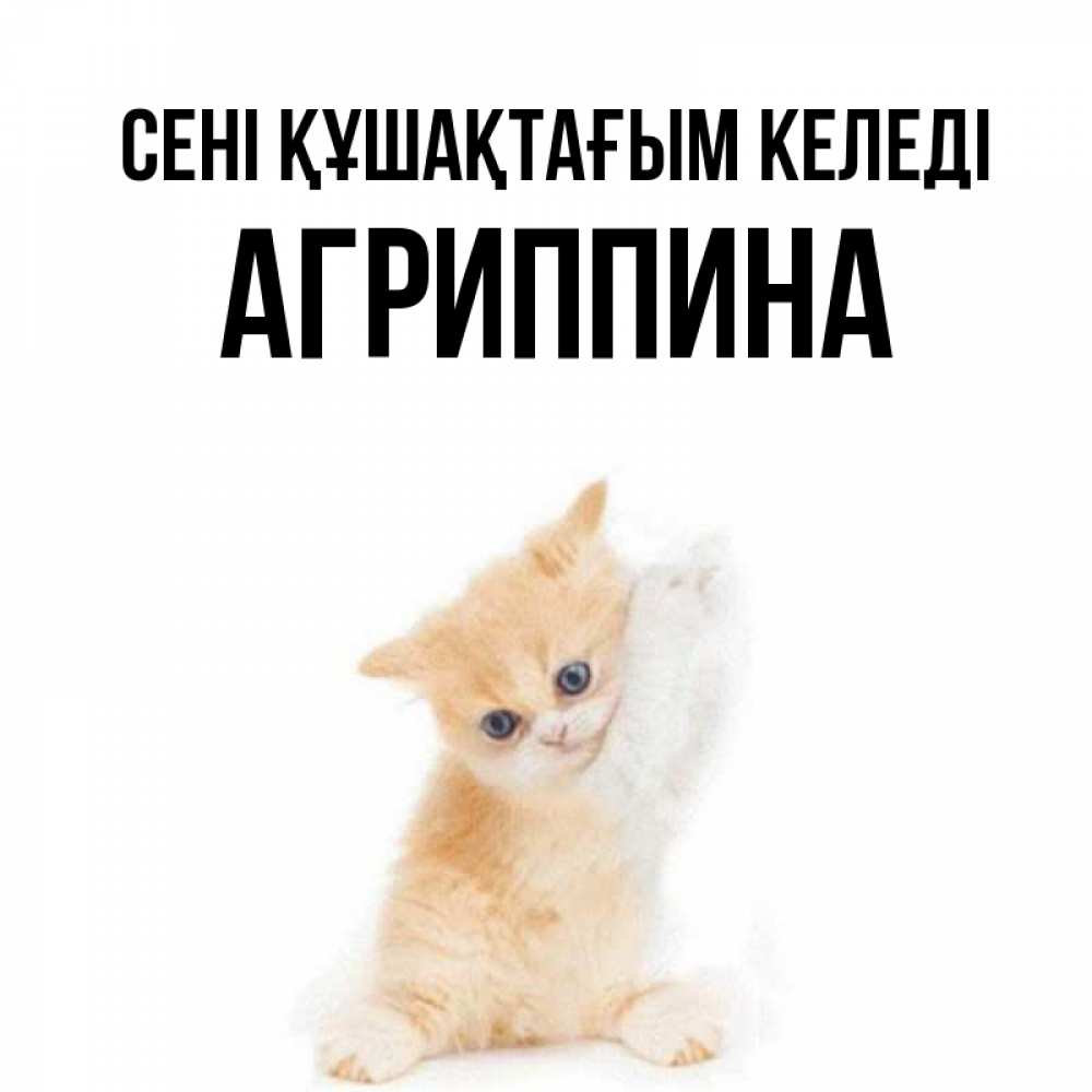 Күн сайын ашық хат с именем, Агриппина сені құшақтағым келеді я хочу очень скорее обнимаешек Онлайн тегін жүктеп алу тілектері бар керемет карта 