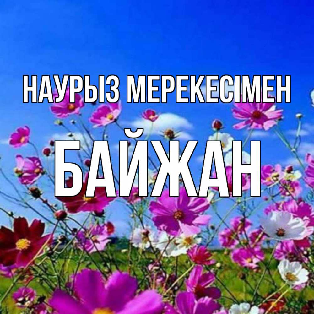 Күн сайын ашық хат с именем, Байжан Наурыз мерекесімен цветы Онлайн тегін жүктеп алу тілектері бар керемет карта 