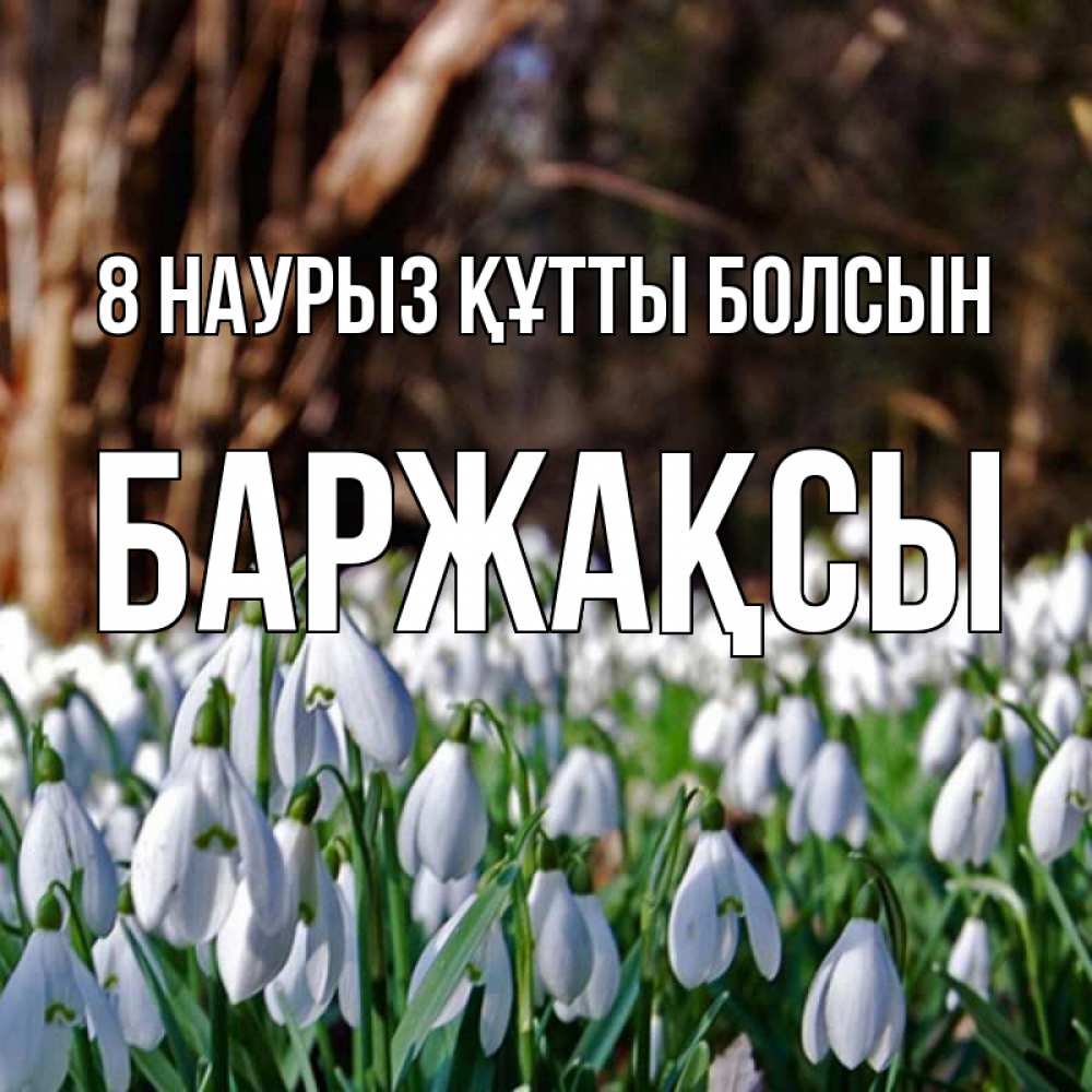 Күн сайын ашық хат с именем, Баржақсы 8 наурыз құтты болсын с подснежниками 1 Онлайн тегін жүктеп алу тілектері бар керемет карта 