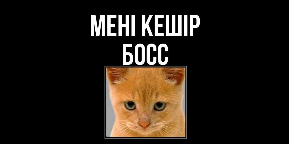 Күн сайын ашық хат с именем, Босс Мені кешір рыжий грустный кот просит прощения Онлайн тегін жүктеп алу тілектері бар керемет карта 
