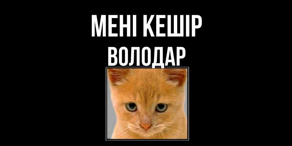 Күн сайын ашық хат с именем, Володар Мені кешір рыжий грустный кот просит прощения Онлайн тегін жүктеп алу тілектері бар керемет карта 
