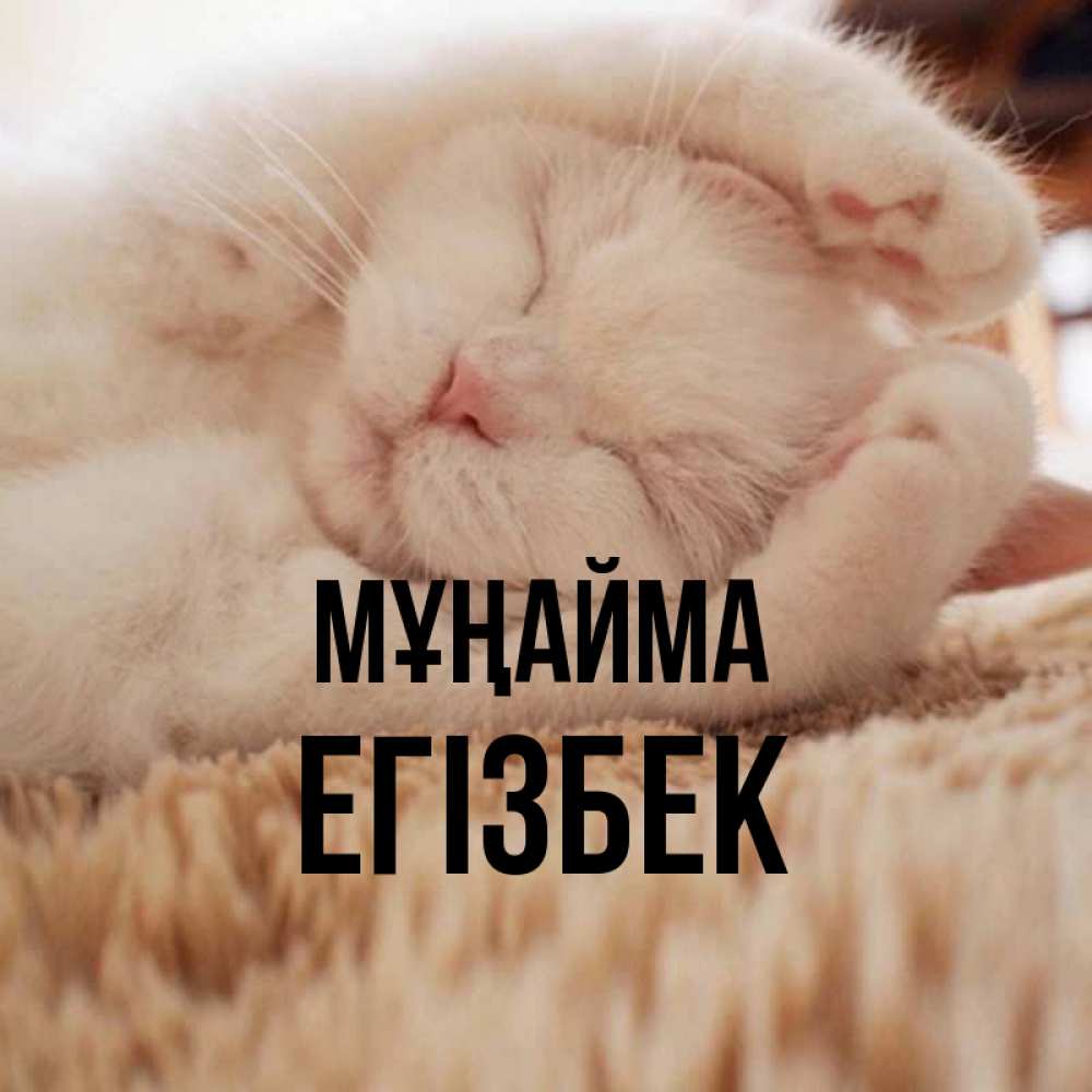 Күн сайын ашық хат с именем, Егізбек Мұңайма Котенок спит Онлайн тегін жүктеп алу тілектері бар керемет карта 