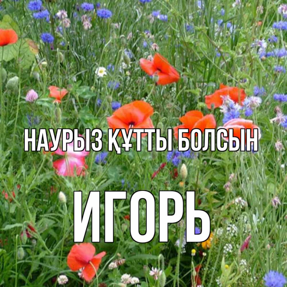 Күн сайын ашық хат с именем, Игорь Наурыз құтты болсын наурыз  4 Онлайн тегін жүктеп алу тілектері бар керемет карта 
