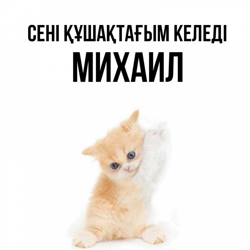 Күн сайын ашық хат с именем, Михаил сені құшақтағым келеді я хочу очень скорее обнимаешек Онлайн тегін жүктеп алу тілектері бар керемет карта 