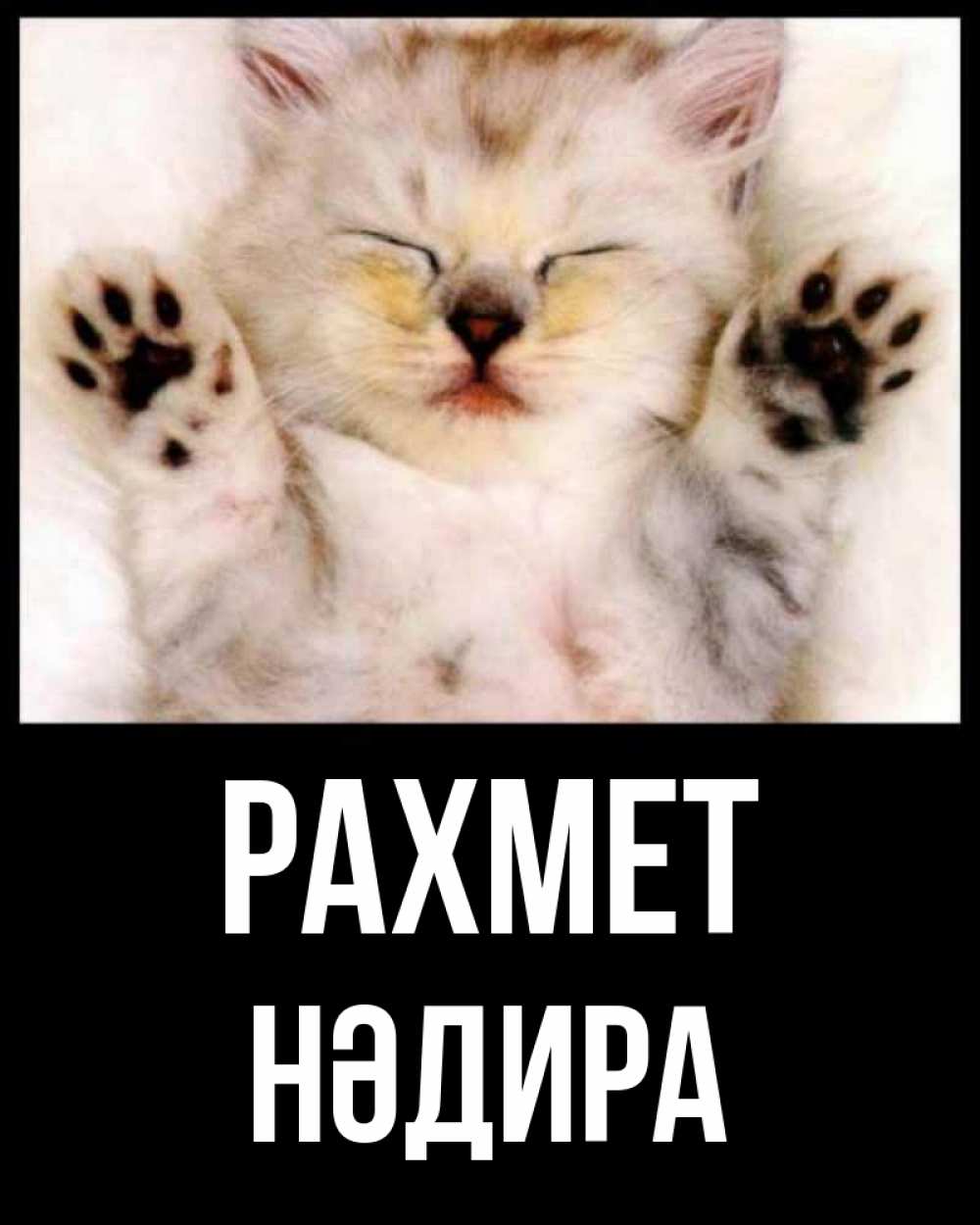 Күн сайын ашық хат с именем, НӘДИРА рахмет маленький котенок Онлайн тегін жүктеп алу тілектері бар керемет карта 