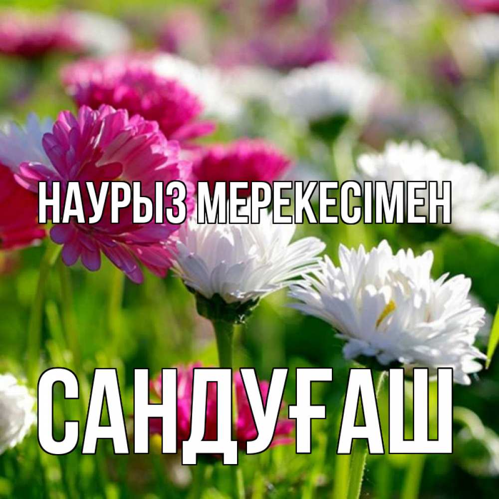Күн сайын ашық хат с именем, САНДУҒАШ Наурыз мерекесімен праздник весны наурыз красота Онлайн тегін жүктеп алу тілектері бар керемет карта 