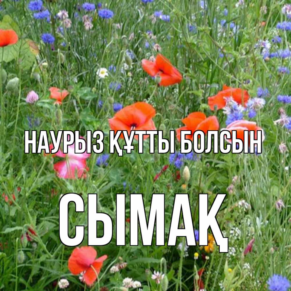 Күн сайын ашық хат с именем, СЫМАҚ Наурыз құтты болсын наурыз  4 Онлайн тегін жүктеп алу тілектері бар керемет карта 