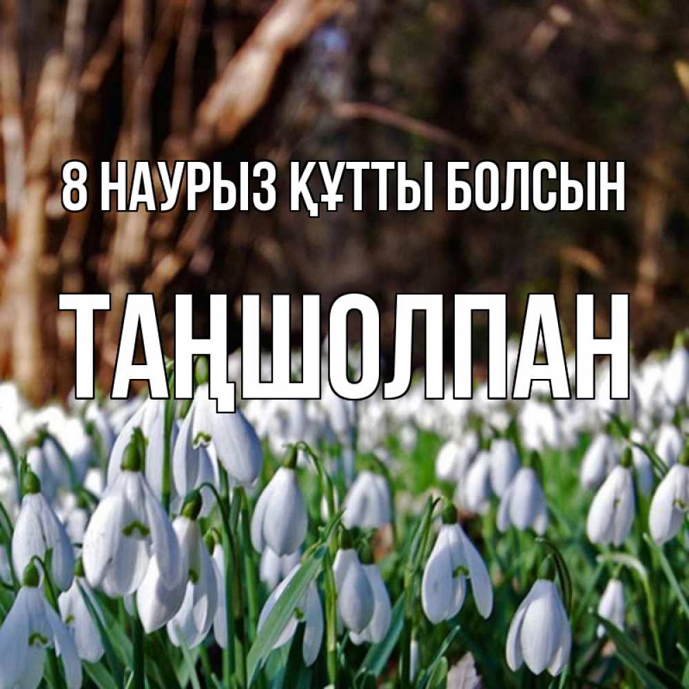 Күн сайын ашық хат с именем, ТАҢШОЛПАН 8 наурыз құтты болсын с подснежниками 1 Онлайн тегін жүктеп алу тілектері бар керемет карта 