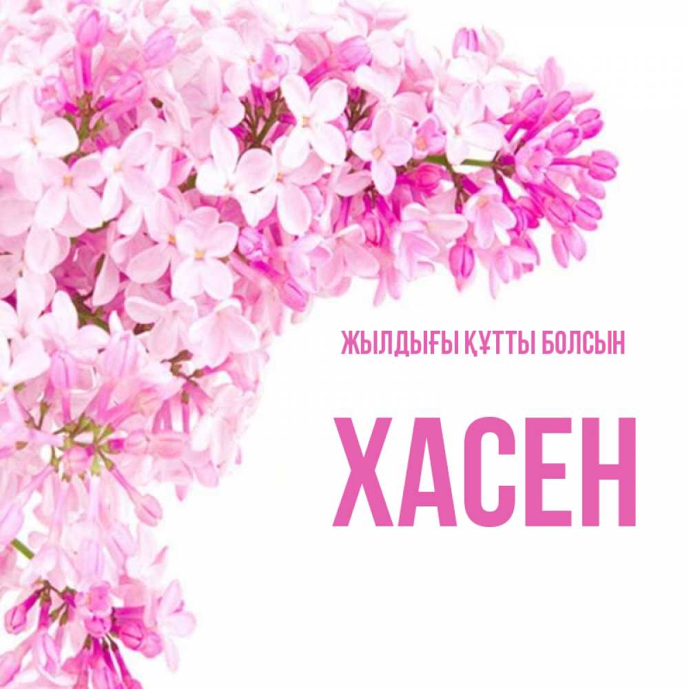 Күн сайын ашық хат с именем, ХАСЕН Жылдығы құтты болсын Сирень на белом фоне Онлайн тегін жүктеп алу тілектері бар керемет карта 