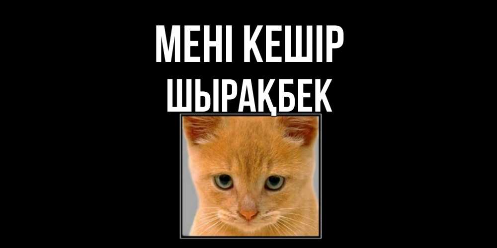 Күн сайын ашық хат с именем, ШЫРАҚБЕК Мені кешір рыжий грустный кот просит прощения Онлайн тегін жүктеп алу тілектері бар керемет карта 