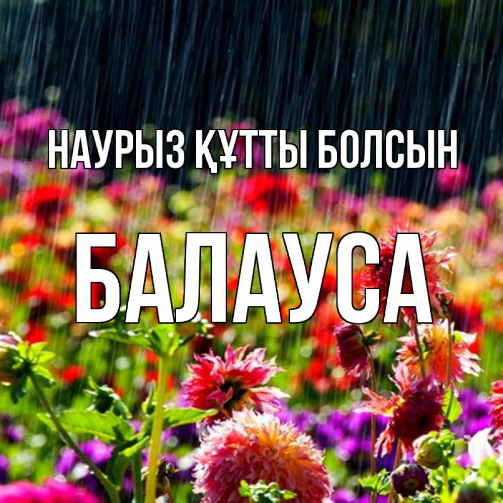 Күн сайын ашық хат с именем, БАЛАУСА Наурыз құтты болсын цветы под дождиком к наурызу Онлайн тегін жүктеп алу тілектері бар керемет карта 