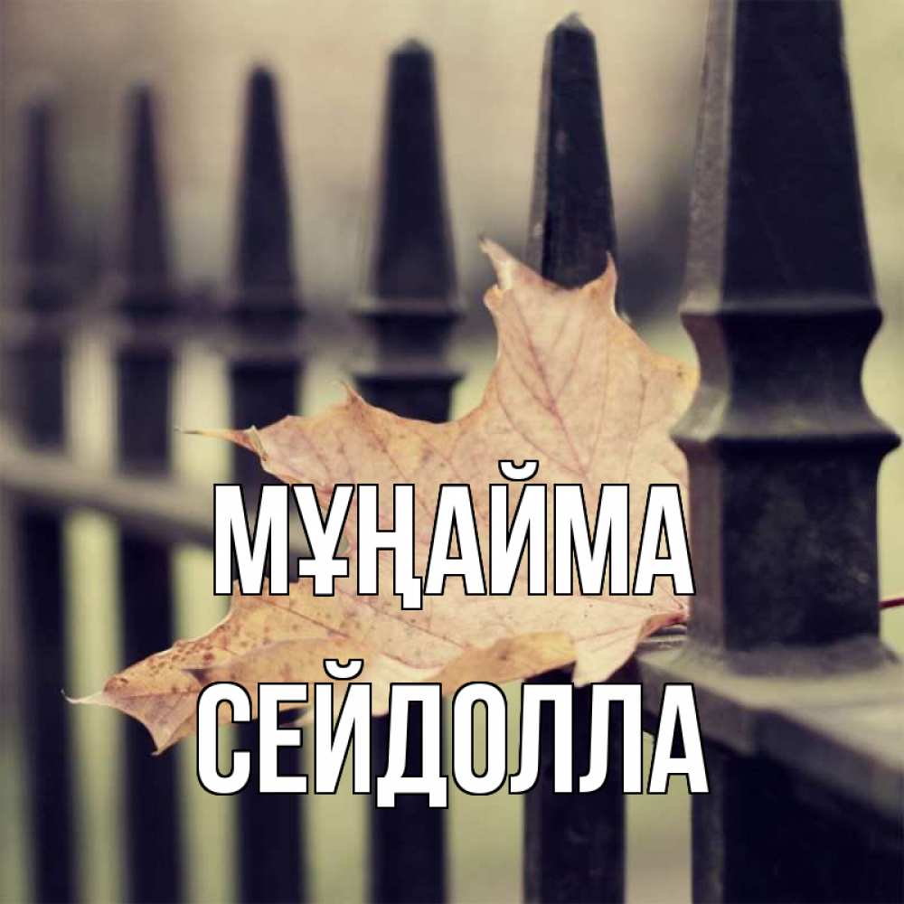 Күн сайын ашық хат с именем, СЕЙДОЛЛА Мұңайма лист клена Онлайн тегін жүктеп алу тілектері бар керемет карта 