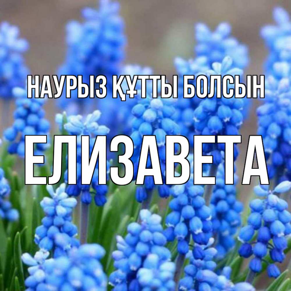 Күн сайын ашық хат с именем, Елизавета Наурыз құтты болсын Поздравительная открытка для женщин с цветами на праздничную дату Онлайн тегін жүктеп алу тілектері бар керемет карта 