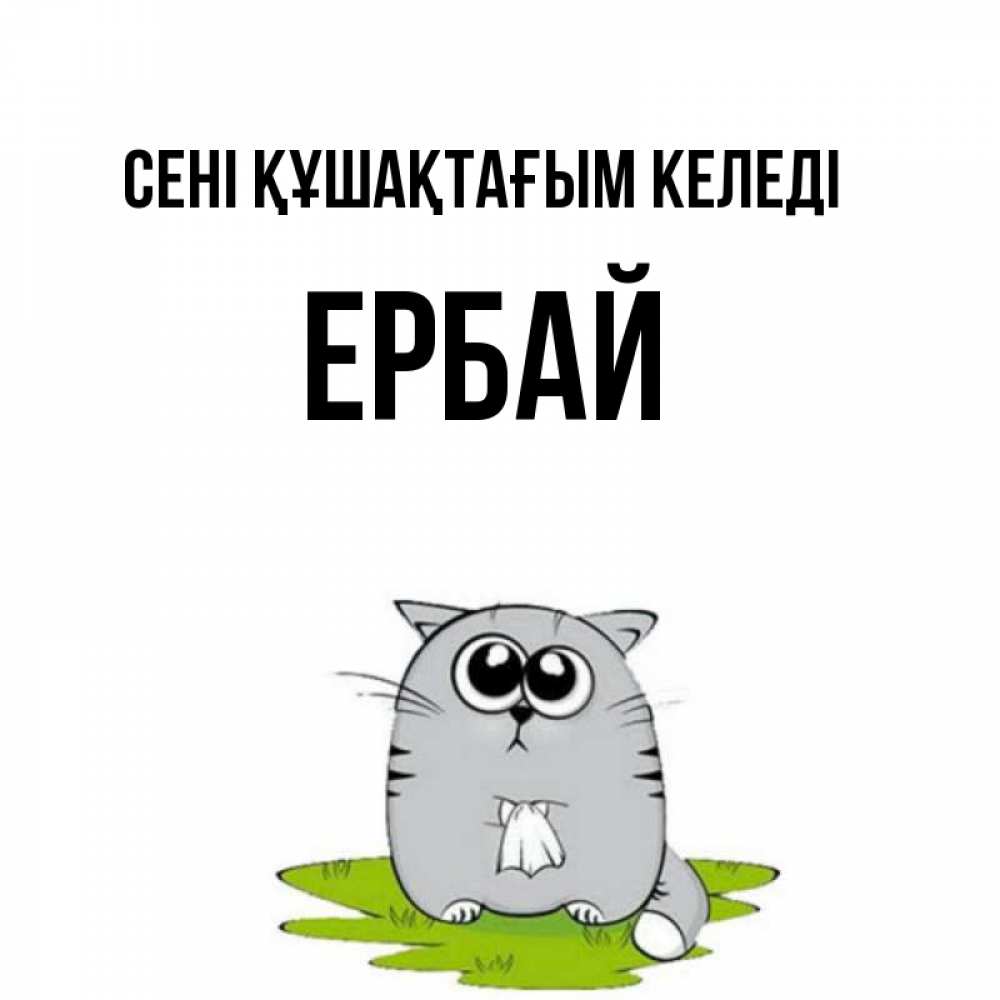 Күн сайын ашық хат с именем, Ербай сені құшақтағым келеді котик теребит платочек сидя на травке Онлайн тегін жүктеп алу тілектері бар керемет карта 