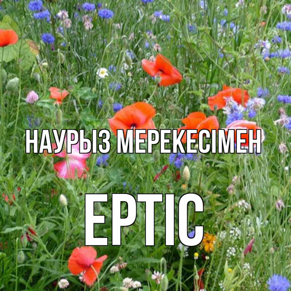 Күн сайын ашық хат с именем, Ертіс Наурыз мерекесімен праздник весны наурыз супер открытка Онлайн тегін жүктеп алу тілектері бар керемет карта 