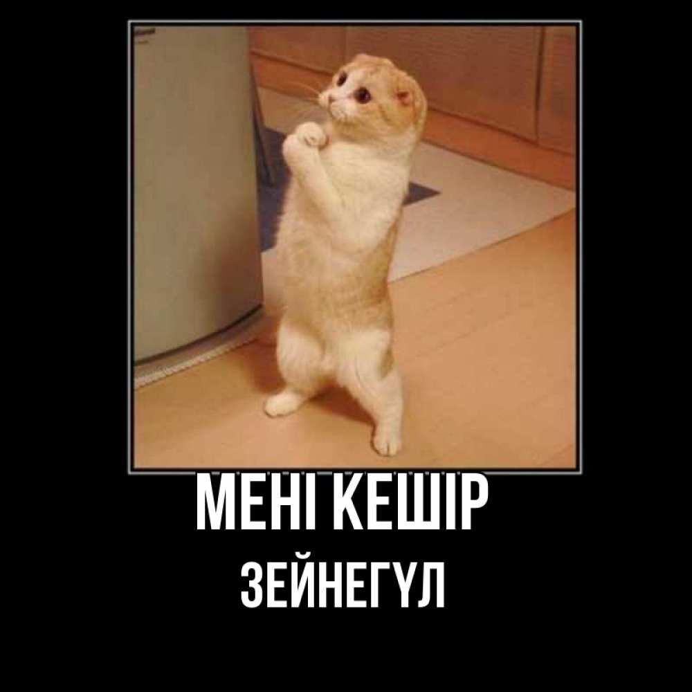 Күн сайын ашық хат с именем, ЗЕЙНЕГҮЛ Мені кешір открытка с милым несчастным котиком просящим прощения Онлайн тегін жүктеп алу тілектері бар керемет карта 