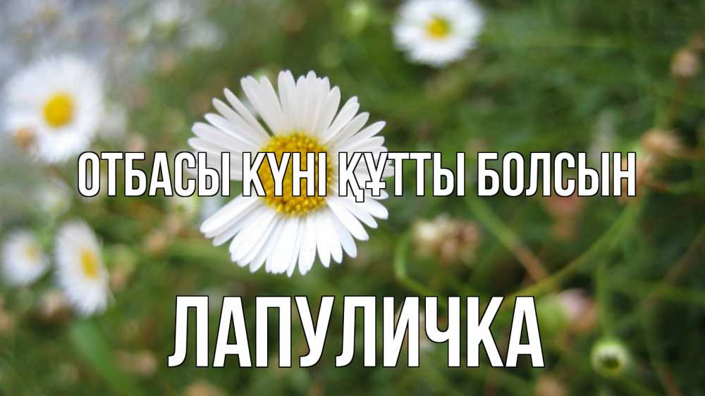 Күн сайын ашық хат с именем, Лапуличка отбасы күні құтты болсын с днем семьи Онлайн тегін жүктеп алу тілектері бар керемет карта 