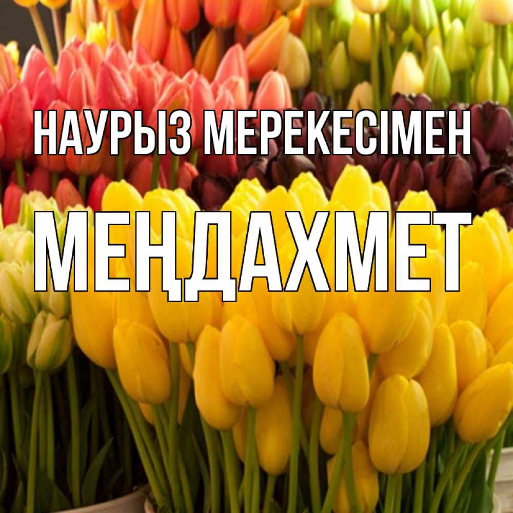 Күн сайын ашық хат с именем, МЕҢДАХМЕТ Наурыз мерекесімен цветы Онлайн тегін жүктеп алу тілектері бар керемет карта 