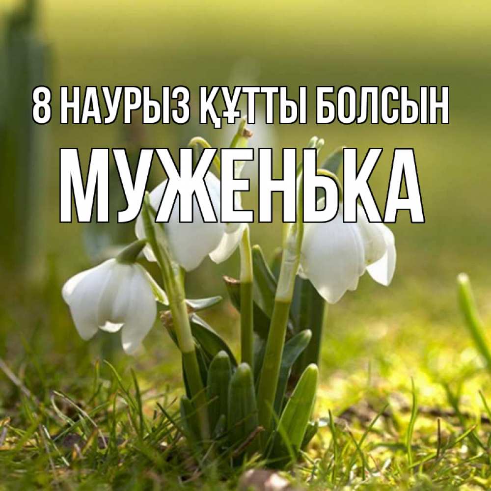 Күн сайын ашық хат с именем, Муженька 8 наурыз құтты болсын ранние цветы 2 Онлайн тегін жүктеп алу тілектері бар керемет карта 