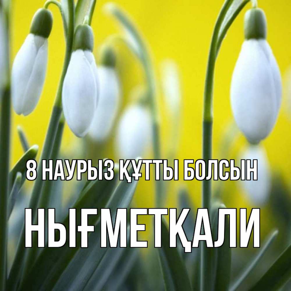 Күн сайын ашық хат с именем, НЫҒМЕТҚАЛИ 8 наурыз құтты болсын весенние цветы Онлайн тегін жүктеп алу тілектері бар керемет карта 
