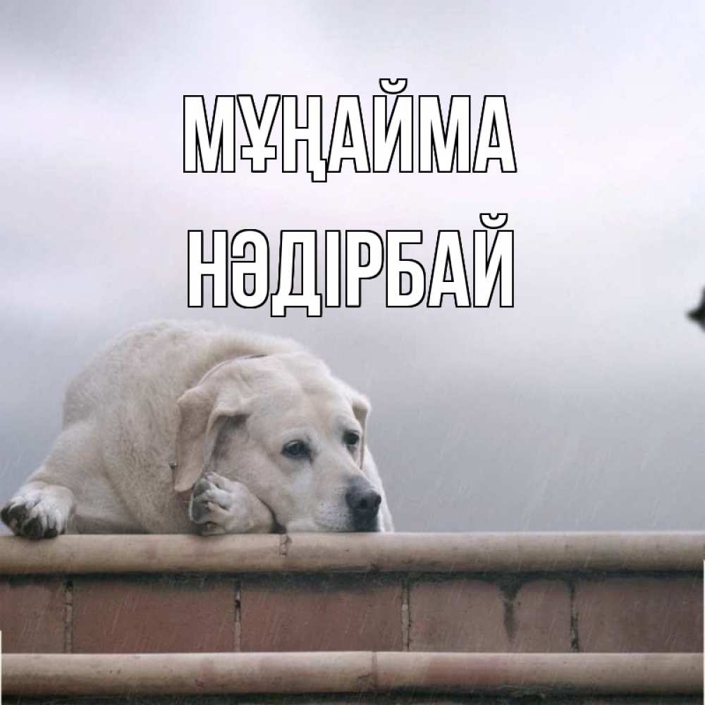 Күн сайын ашық хат с именем, НӘДІРБАЙ Мұңайма белый пес 1 Онлайн тегін жүктеп алу тілектері бар керемет карта 