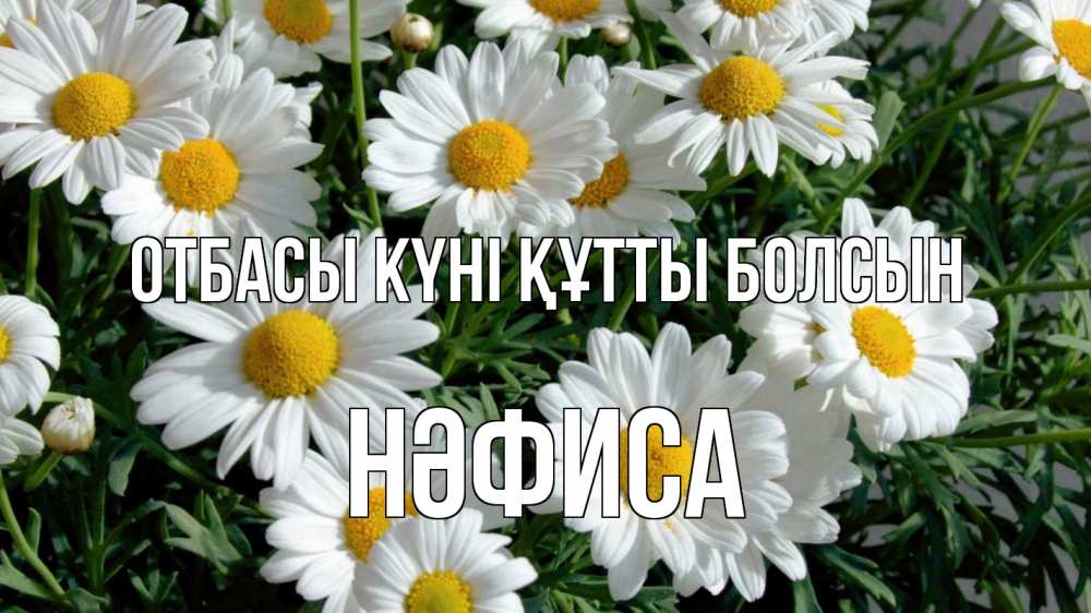 Күн сайын ашық хат с именем, НӘФИСА отбасы күні құтты болсын с днем семьи Онлайн тегін жүктеп алу тілектері бар керемет карта 