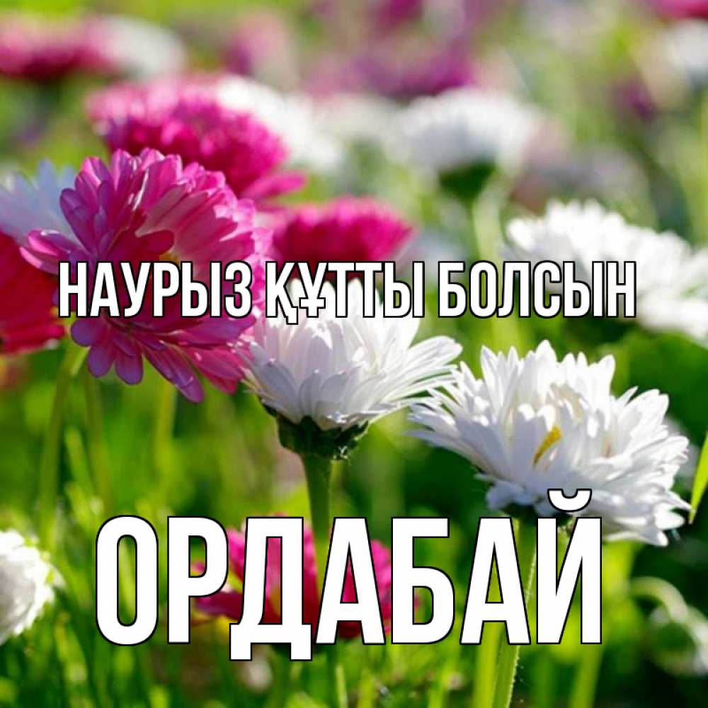 Күн сайын ашық хат с именем, ОРДАБАЙ Наурыз құтты болсын наурыз Онлайн тегін жүктеп алу тілектері бар керемет карта 