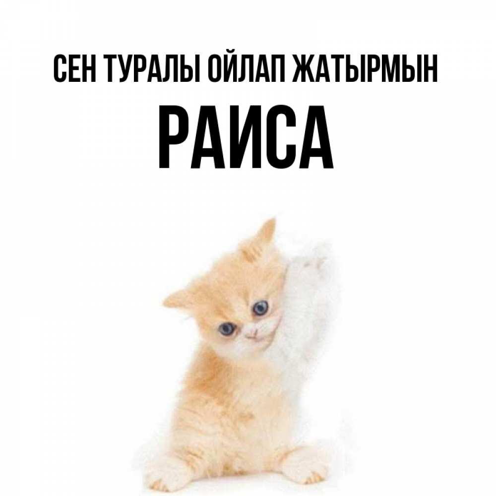 Күн сайын ашық хат с именем, Раиса Сен туралы ойлап жатырмын зверушки и милота Онлайн тегін жүктеп алу тілектері бар керемет карта 