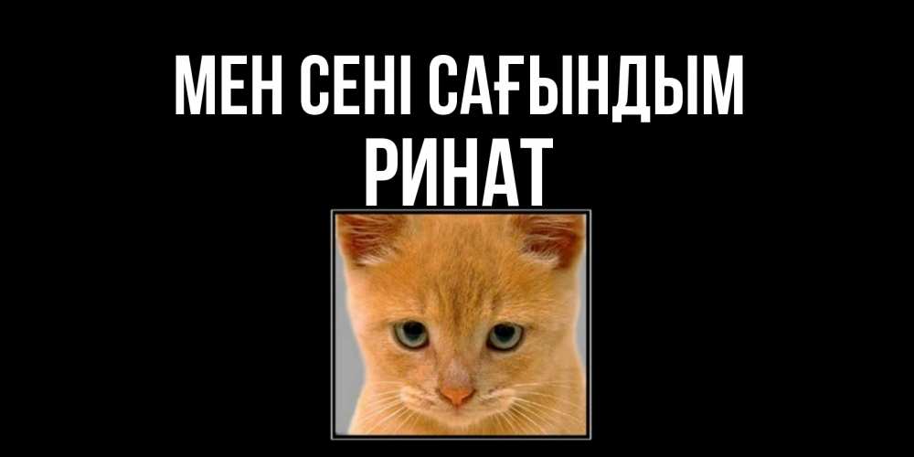 Күн сайын ашық хат с именем, Ринат Мен сені сағындым открытки рыжий котенок скучает по тебе Онлайн тегін жүктеп алу тілектері бар керемет карта 