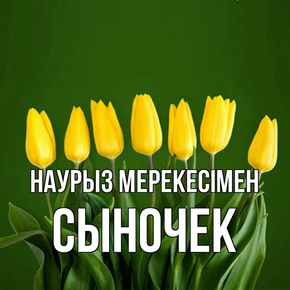 Күн сайын ашық хат с именем, Сыночек Наурыз мерекесімен желтого цвета 3 Онлайн тегін жүктеп алу тілектері бар керемет карта 