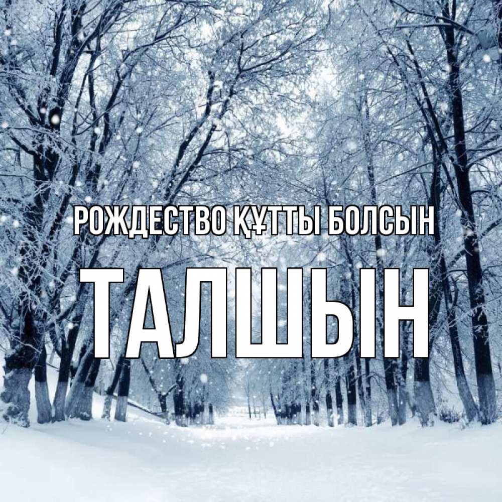 Күн сайын ашық хат с именем, ТАЛШЫН Рождество құтты болсын снег, лес, парк Онлайн тегін жүктеп алу тілектері бар керемет карта 