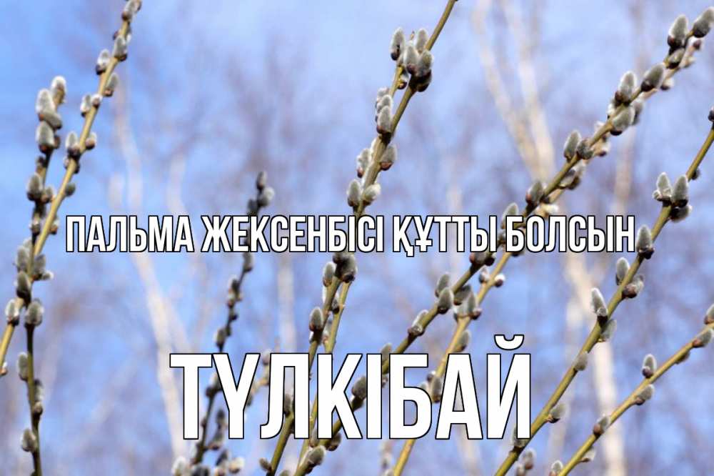 Күн сайын ашық хат с именем, ТҮЛКІБАЙ Пальма жексенбісі құтты болсын верба Онлайн тегін жүктеп алу тілектері бар керемет карта 