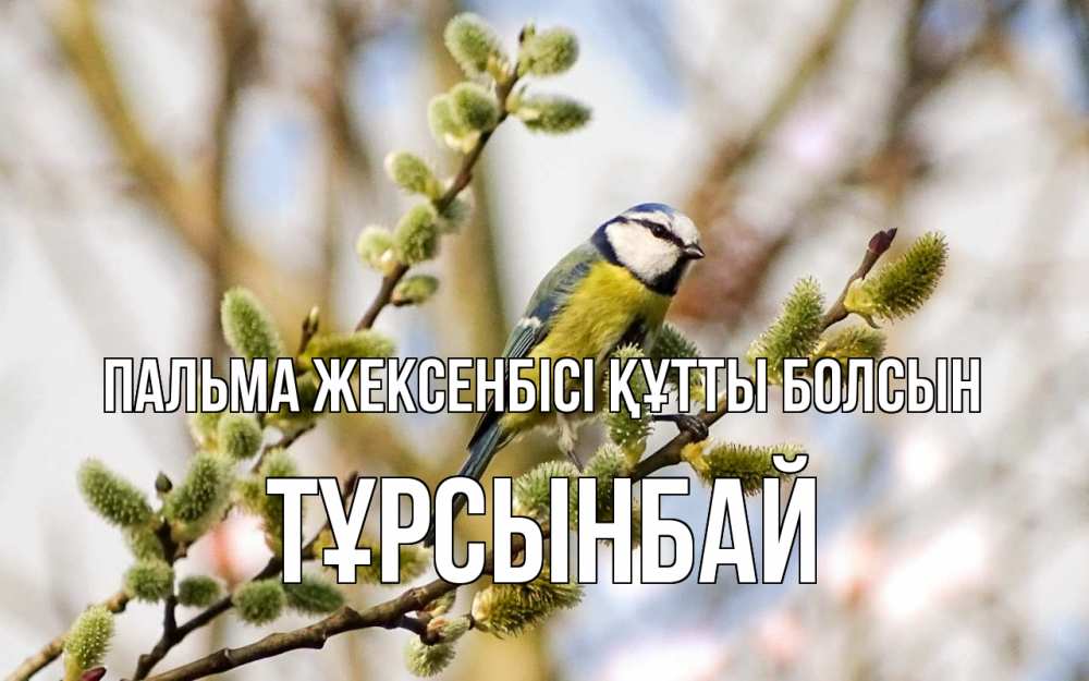 Күн сайын ашық хат с именем, ТҰРСЫНБАЙ Пальма жексенбісі құтты болсын верба Онлайн тегін жүктеп алу тілектері бар керемет карта 