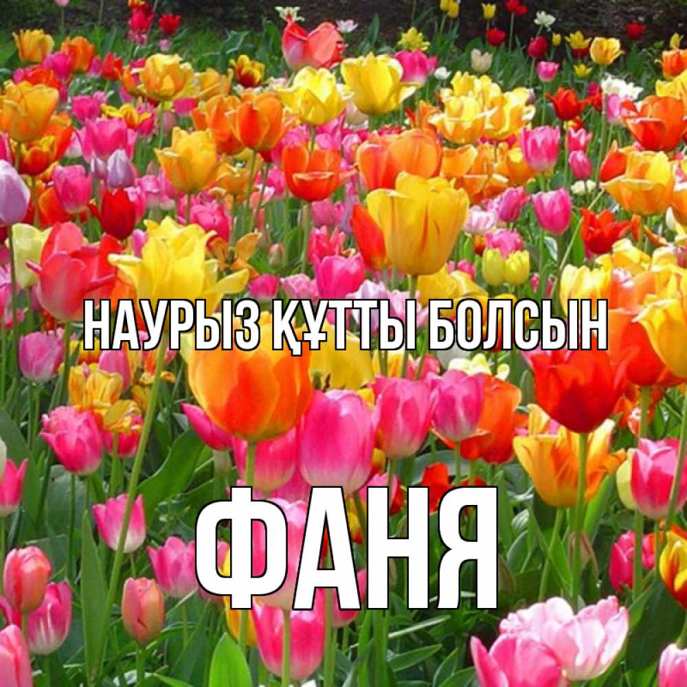 Күн сайын ашық хат с именем, Фаня Наурыз құтты болсын на наурыз  ура ура Онлайн тегін жүктеп алу тілектері бар керемет карта 