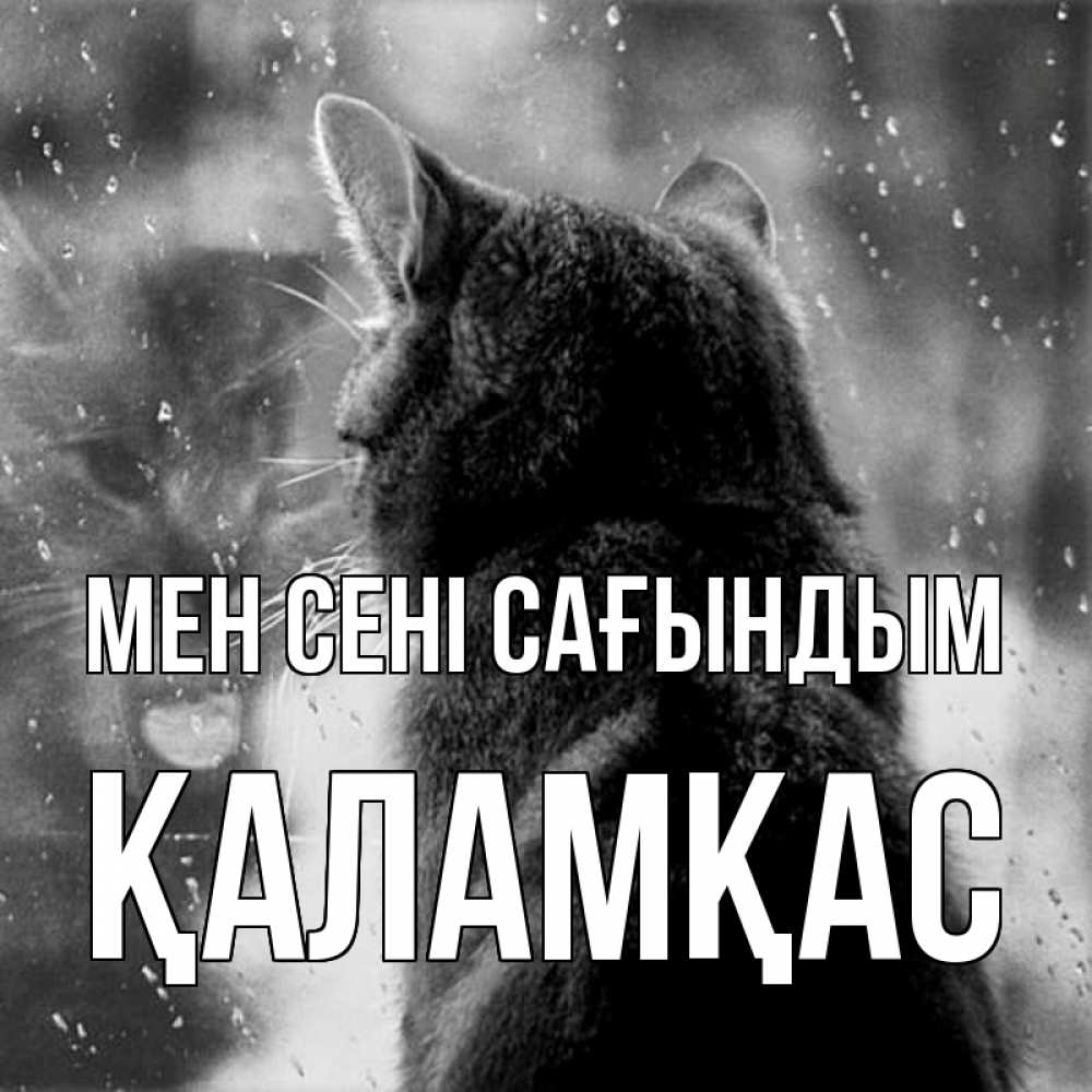 Күн сайын ашық хат с именем, ҚАЛАМҚАС Мен сені сағындым скорее ко мне приходи 1 Онлайн тегін жүктеп алу тілектері бар керемет карта 