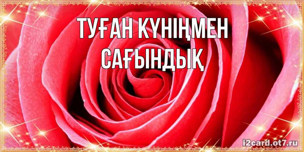 Күн сайын ашық хат с именем, САҒЫНДЫҚ Туған күніңмен розовая роза очень крупный бутон Онлайн тегін жүктеп алу тілектері бар керемет карта 