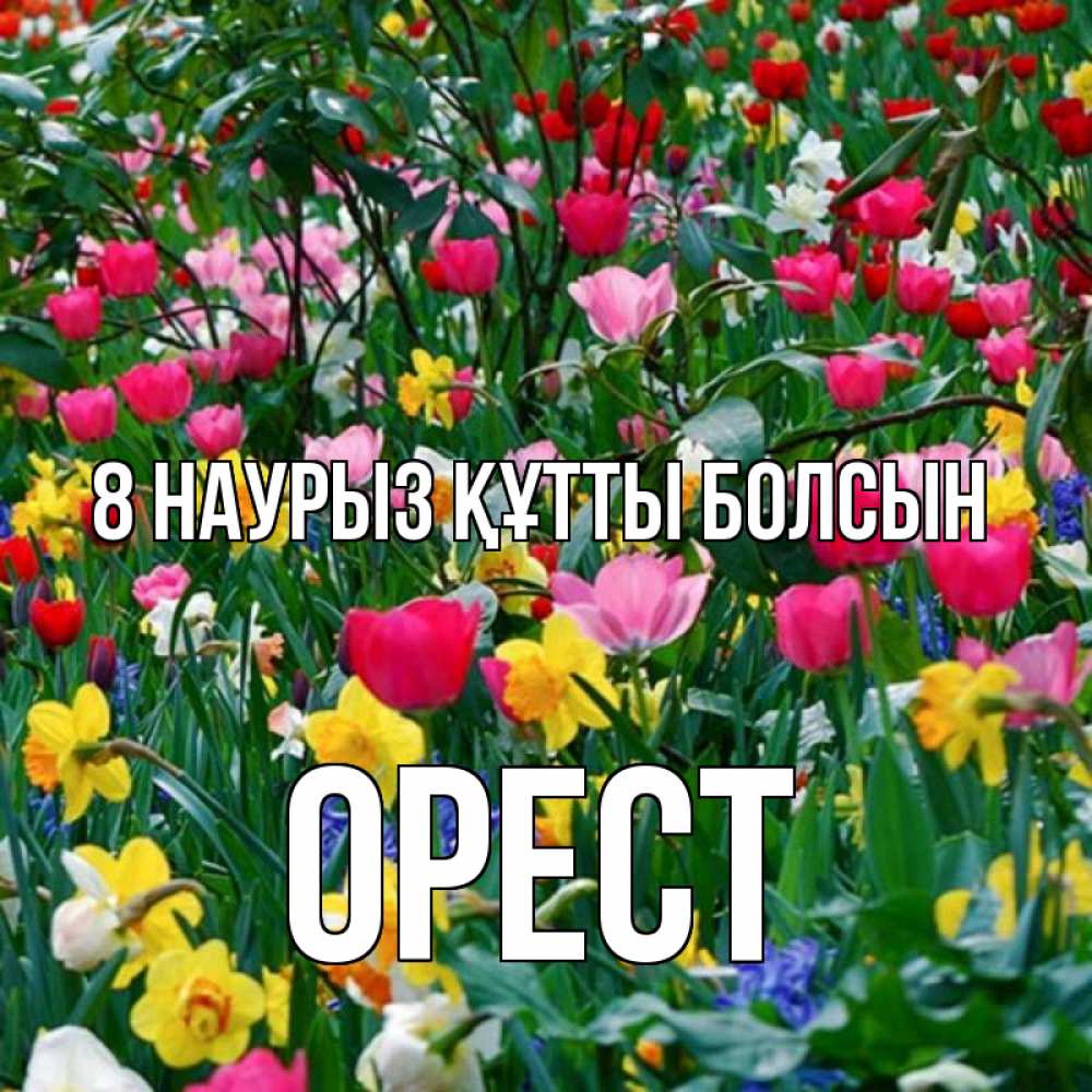 Күн сайын ашық хат с именем, Орест 8 наурыз құтты болсын с международным женским днем поздравления для женщины Онлайн тегін жүктеп алу тілектері бар керемет карта 