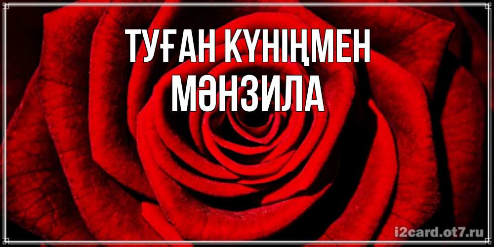 Күн сайын ашық хат с именем, МӘНЗИЛА Туған күніңмен алая роза Онлайн тегін жүктеп алу тілектері бар керемет карта 