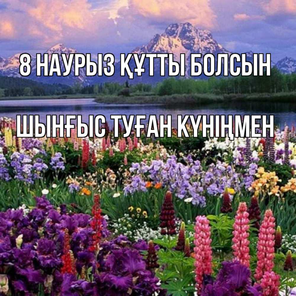 Картинка 8 наурыз құтты болсын, ШЫНҒЫС! ТУҒАН КҮНІҢМЕН!