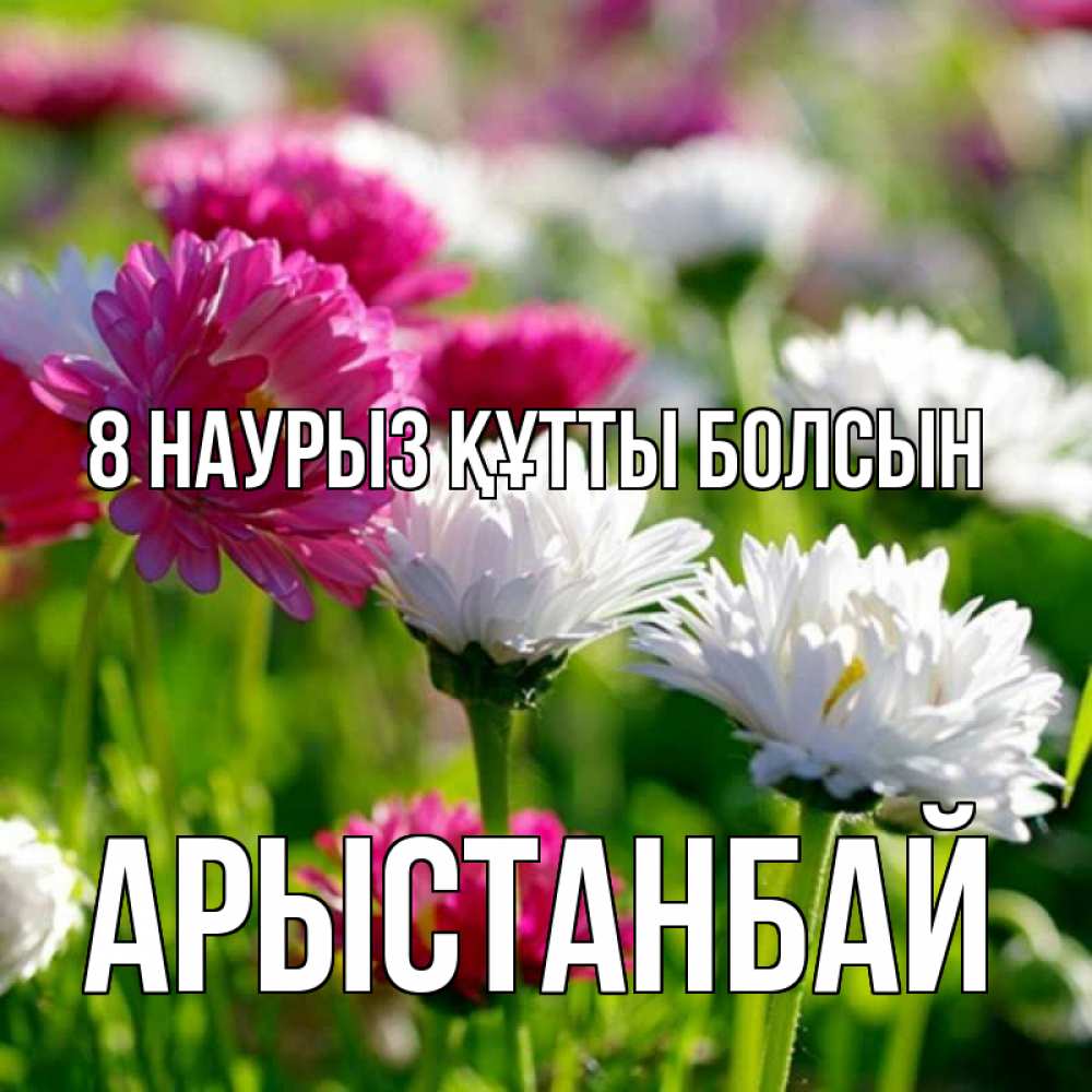 Күн сайын ашық хат с именем, Арыстанбай 8 наурыз құтты болсын международный женский день 1 Онлайн тегін жүктеп алу тілектері бар керемет карта 