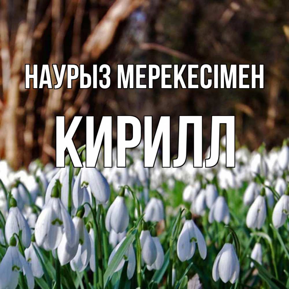 Күн сайын ашық хат с именем, Кирилл Наурыз мерекесімен с подснежниками 1 Онлайн тегін жүктеп алу тілектері бар керемет карта 