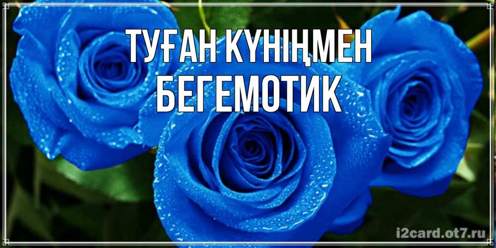 Күн сайын ашық хат с именем, Бегемотик Туған күніңмен розы с синим цветом Онлайн тегін жүктеп алу тілектері бар керемет карта 