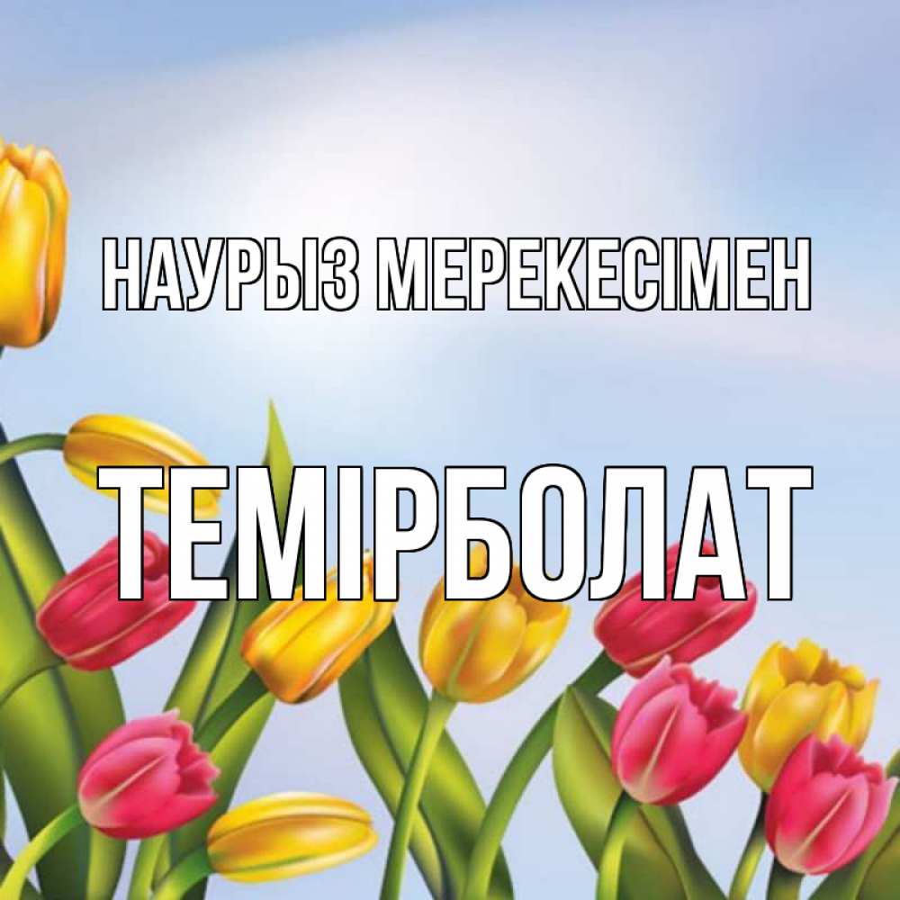 Күн сайын ашық хат с именем, ТЕМІРБОЛАТ Наурыз мерекесімен праздник весны наурыз Онлайн тегін жүктеп алу тілектері бар керемет карта 