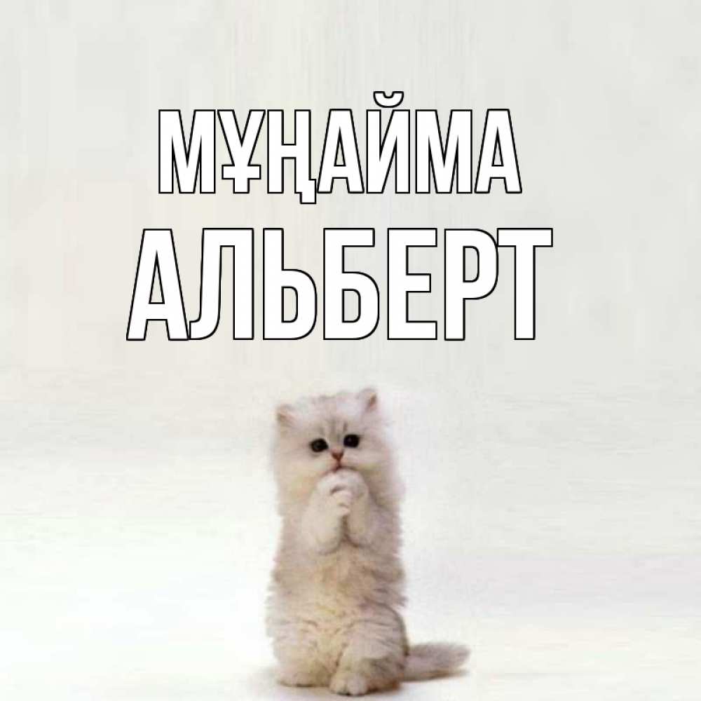 Күн сайын ашық хат с именем, Альберт Мұңайма грустный кот Онлайн тегін жүктеп алу тілектері бар керемет карта 